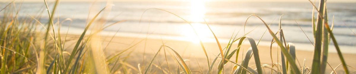 Peaceful sunrise view from grassy dunes on an Australian beach, capturing the ocean's horizon.
